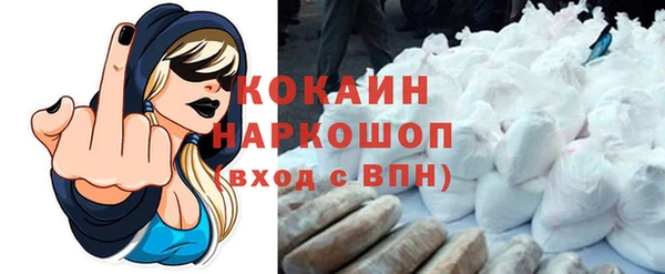 сатива Армянск