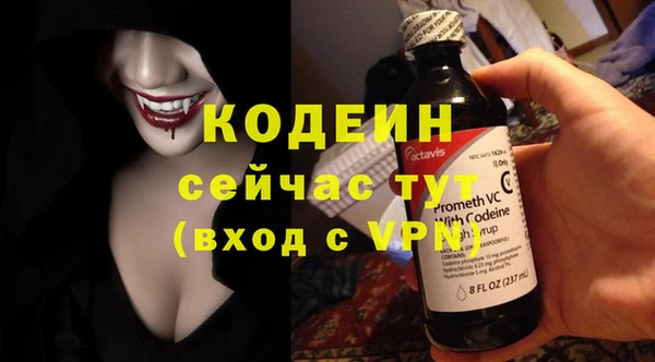 эйфоретик Арсеньев