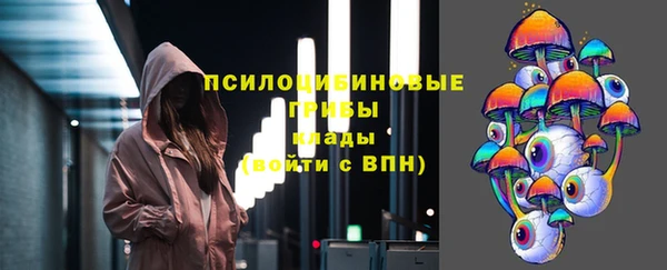 эйфоретик Аркадак