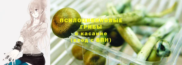 эйфоретик Арсеньев