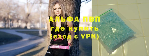 сатива Армянск