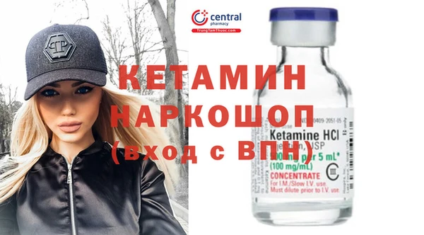 сатива Армянск