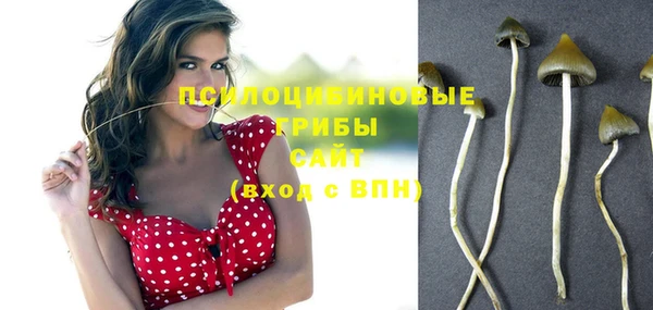 сатива Армянск