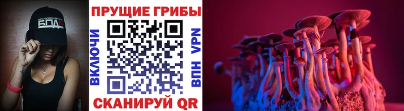 мега зеркало  Покровск  Галлюциногенные грибы MAGIC MUSHROOMS 